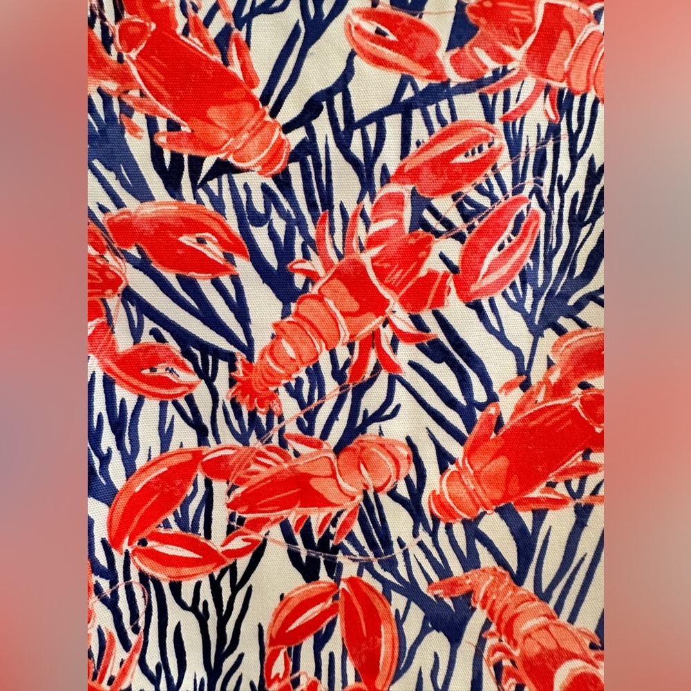 Women’s Skirt Size 12P